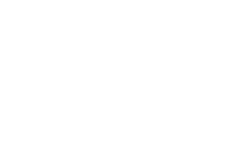 Logo Zippy Paws