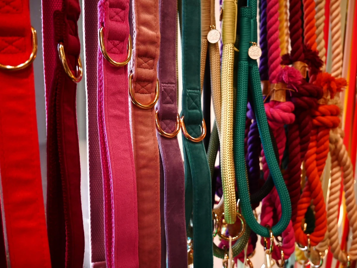 {produit} - chez Happy Dog Belfort