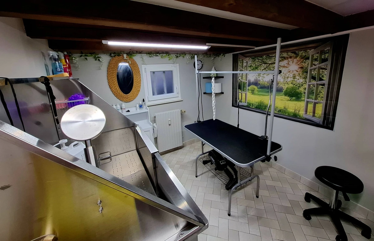Salon de toilettage de Laure chez Happy Dog Belfort